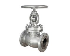 Globe Valves Manufacturer in India